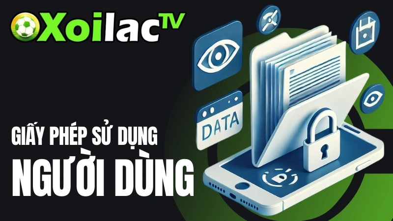 Quy trình khiếu nại vi phạm bản quyền tại Xoilac TV