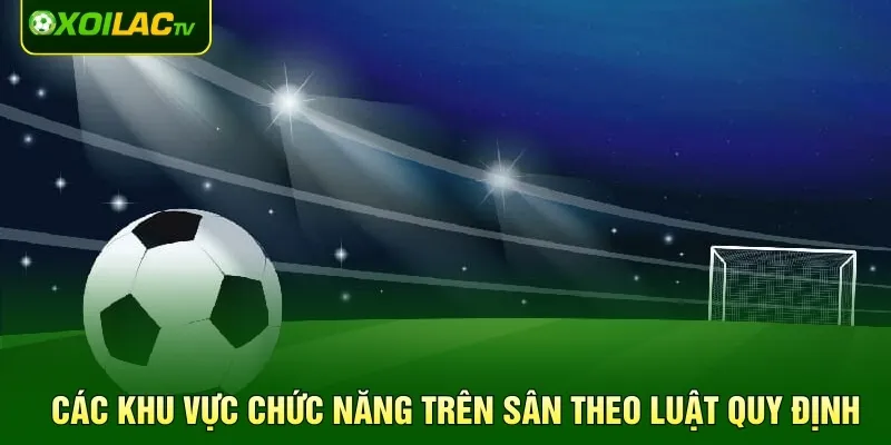 Các khu vực chức năng trên sân theo luật quy định