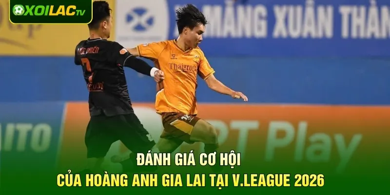 Đánh giá cơ hội của Hoàng Anh Gia Lai tại V.League 2026