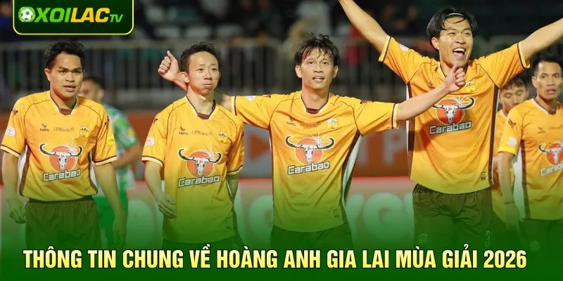 Thông tin chung về Hoàng Anh Gia Lai Mùa Giải 2026