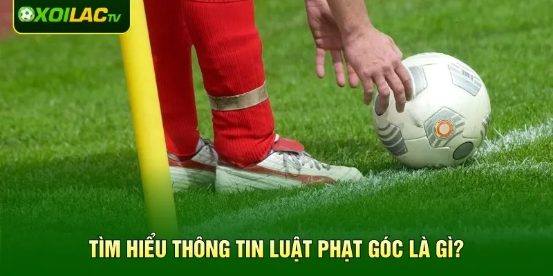 Tìm hiểu thông tin luật phạt góc là gì?