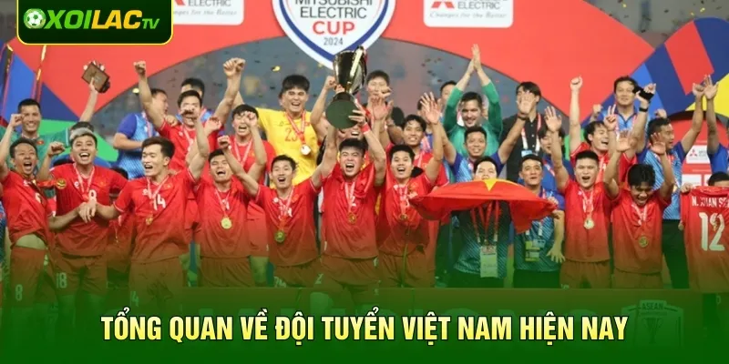 Tổng quan về Đội tuyển Việt Nam hiện nay